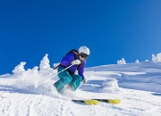 开云体育在线-非洲雄鹰翱翔郁金香花田，尼日利亚大胜荷兰，布罗佐维奇中场封神